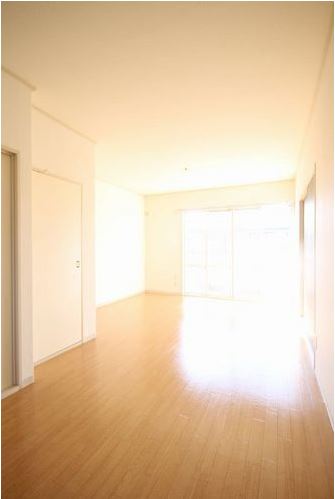 Living and room. 14 Pledge more than spacious living