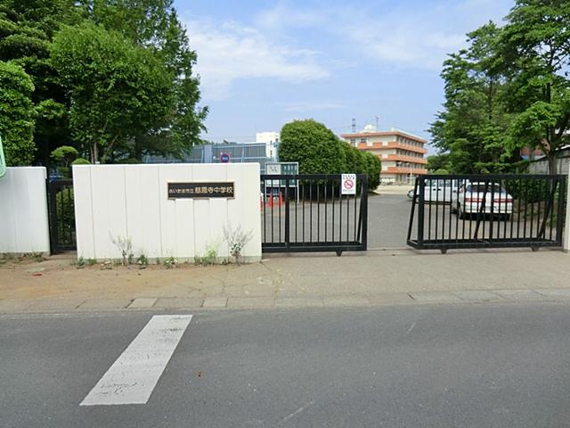 Other. Temple of Great Mercy and Goodness junior high school