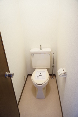 Toilet. Toilet there is a room in the depth, There is a feeling of opening