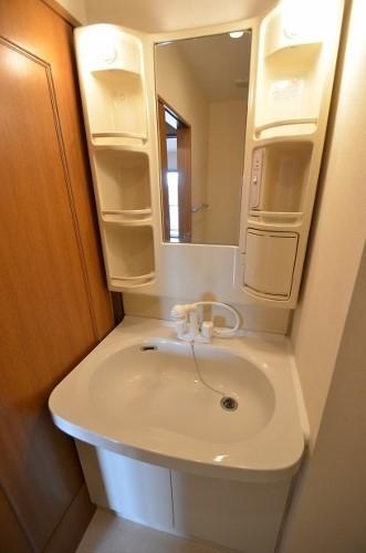 Washroom. Shampoo dresser