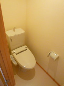 Toilet. Cleaning function with toilet seat