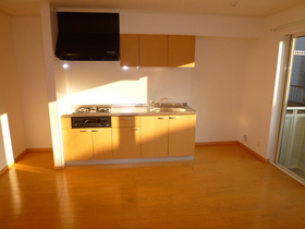 Kitchen. System Kitchen (3 burners gas stove)