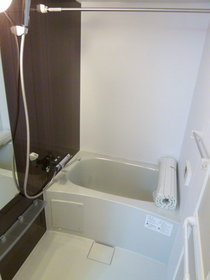 Bath. Bathroom (with additional heating)