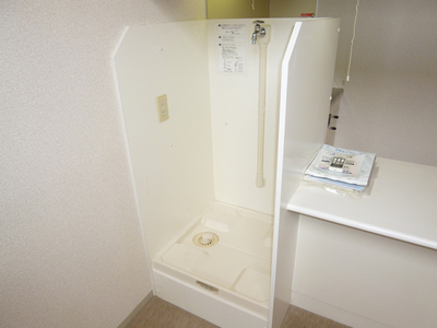 Other. Laundry Storage in the room. 