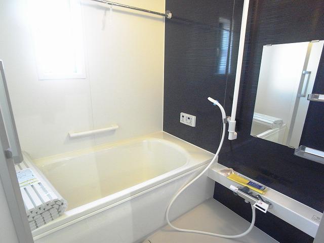 Bathroom. 2013 November shooting