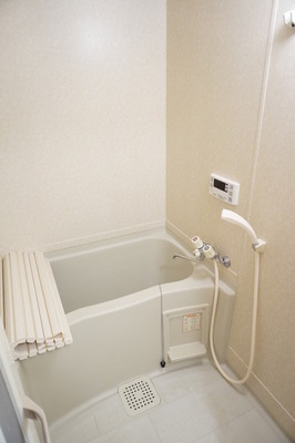 Bath. It looks happy economic Reheating function with bus