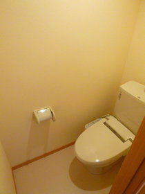 Toilet. Cleaning function with toilet seat