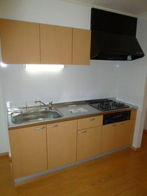 Kitchen. System Kitchen (3 burners gas stove)