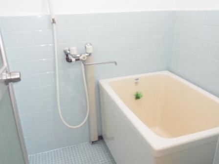 Bath. Tiled bathroom