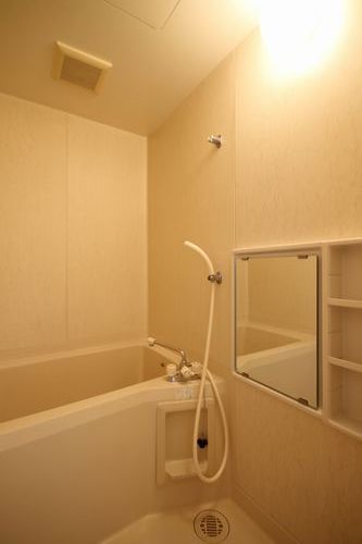 Bath. Beautiful bathroom