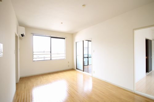 Living and room. Spacious living room (inverted type)