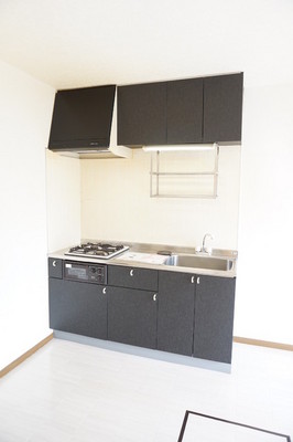 Kitchen. Large cooking space is popular with women