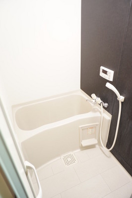 Bath. It looks happy economic Reheating function with bus