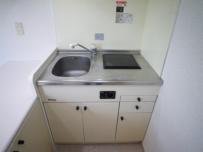 Kitchen. Electric stove mini kitchen. 