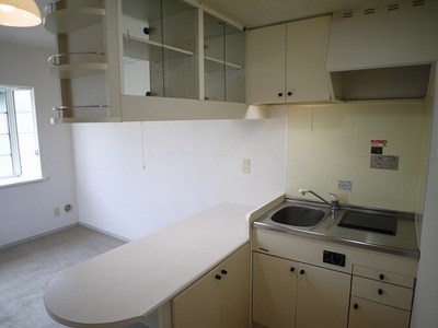 Kitchen. Counter kitchen. 