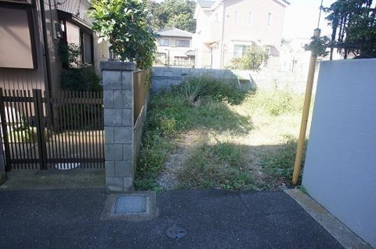 Local land photo. Local Photos