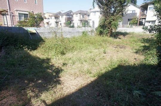 Local land photo. Local Photos