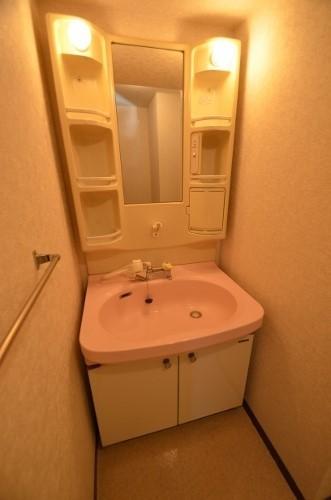 Washroom. Wash basin