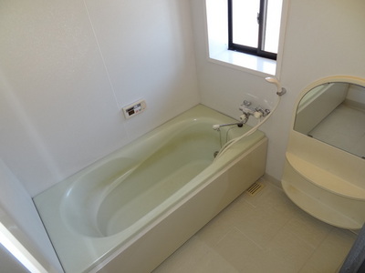 Bath. It looks happy economic Reheating function with bus