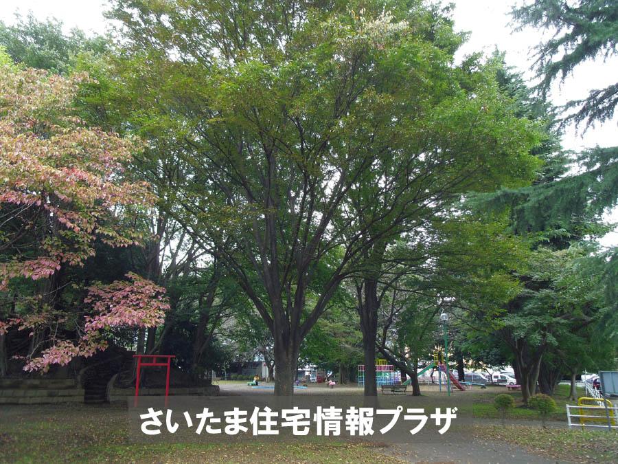 Other. Azalea months hill park