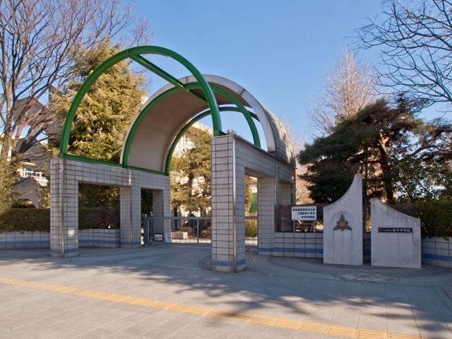 Junior high school. Uetake 1200m until junior high school
