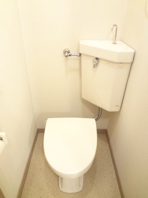 Toilet. Also it has a shelf at the top