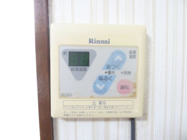 Other. It comes with a hot water supply remote control.