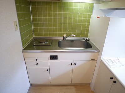 Kitchen. Bite electric stove.