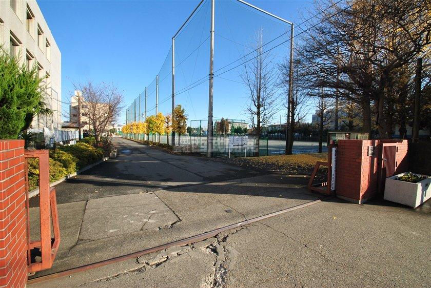 Junior high school. Nissin 1600m until junior high school