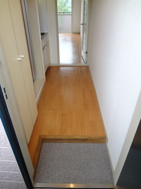 Entrance. You can use the spacious foyer because there is a shoebox. 