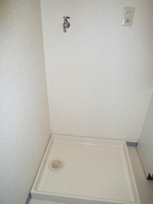 Washroom. Washing machine in the room