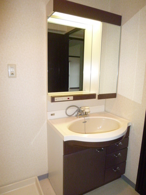 Washroom. Shampoo dresser