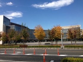 Other. 250m to the north ward office (Other)