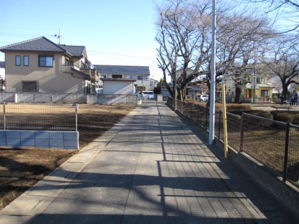 Local photos, including front road