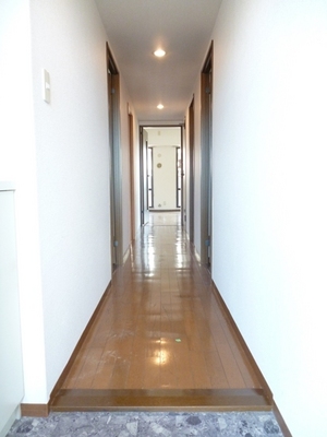 Entrance. Hallway from the entrance