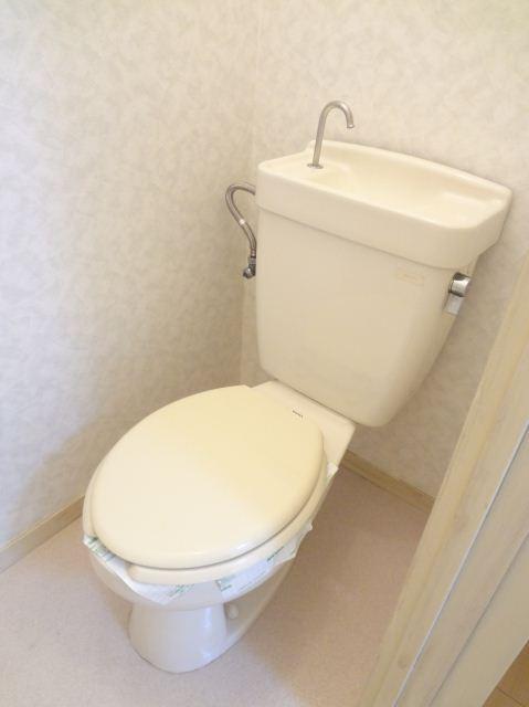 Toilet. Spacious toilet. Is beautiful.