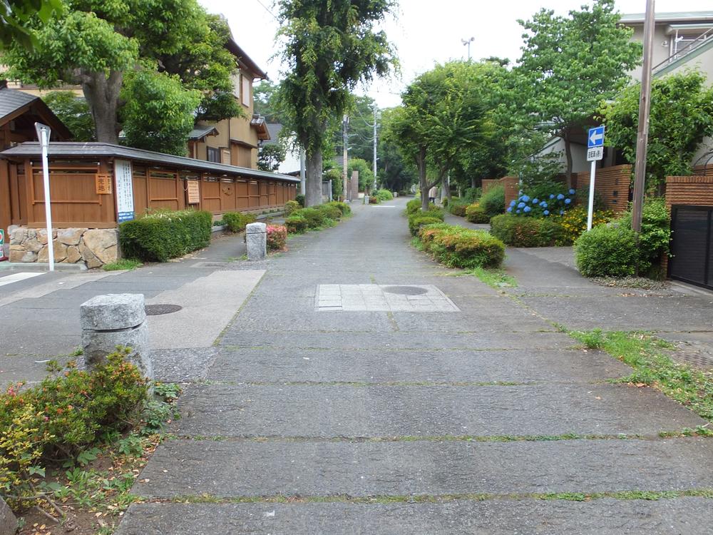 Other. "Maple Street" of buckwheat immediately