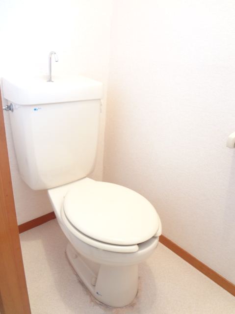 Toilet. Bright toilet. Floor is re-covering
