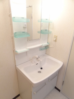 Washroom. Convenient Shampoo dresser