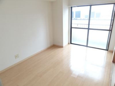 Living and room. South-facing bright Western-style