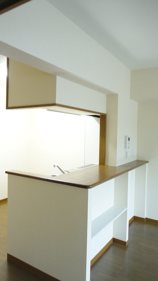 Kitchen. Face-to-face kitchen