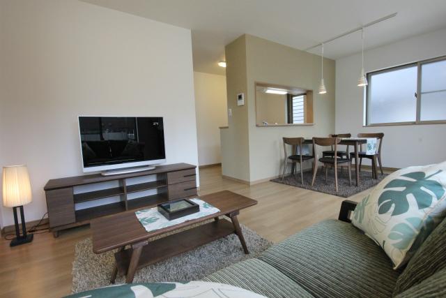 Living. Room (August 2012) shooting