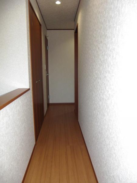 Other introspection. 2 Kairoka