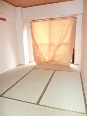 Living and room. Japanese style room