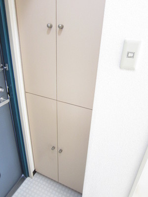 Other. Shoes is if Mae also put convenient entrance storage thing