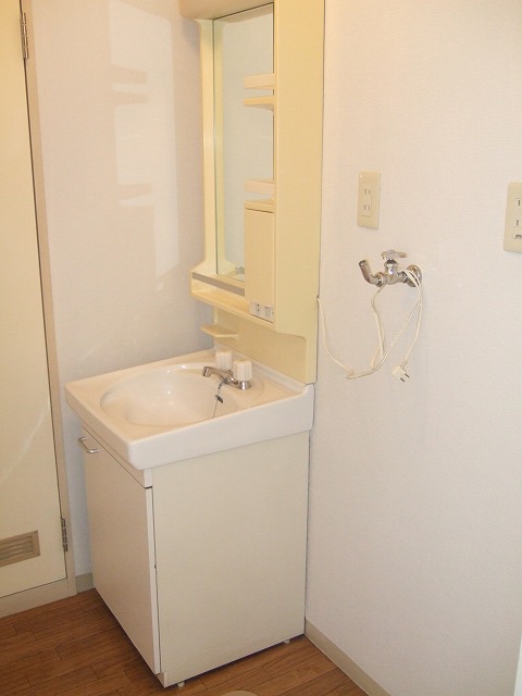 Washroom. Bathroom vanity