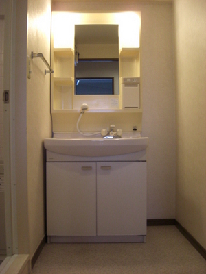 Washroom. Happy shampoo dresser in a busy morning