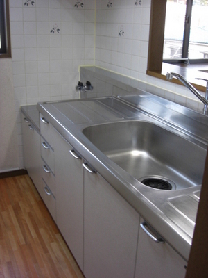 Kitchen. Popular face-to-face kitchen