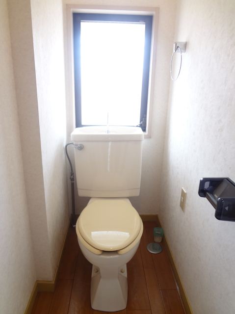 Toilet. Bright toilet