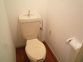 Toilet. Toilet with cleanliness.